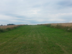 20150723_171404